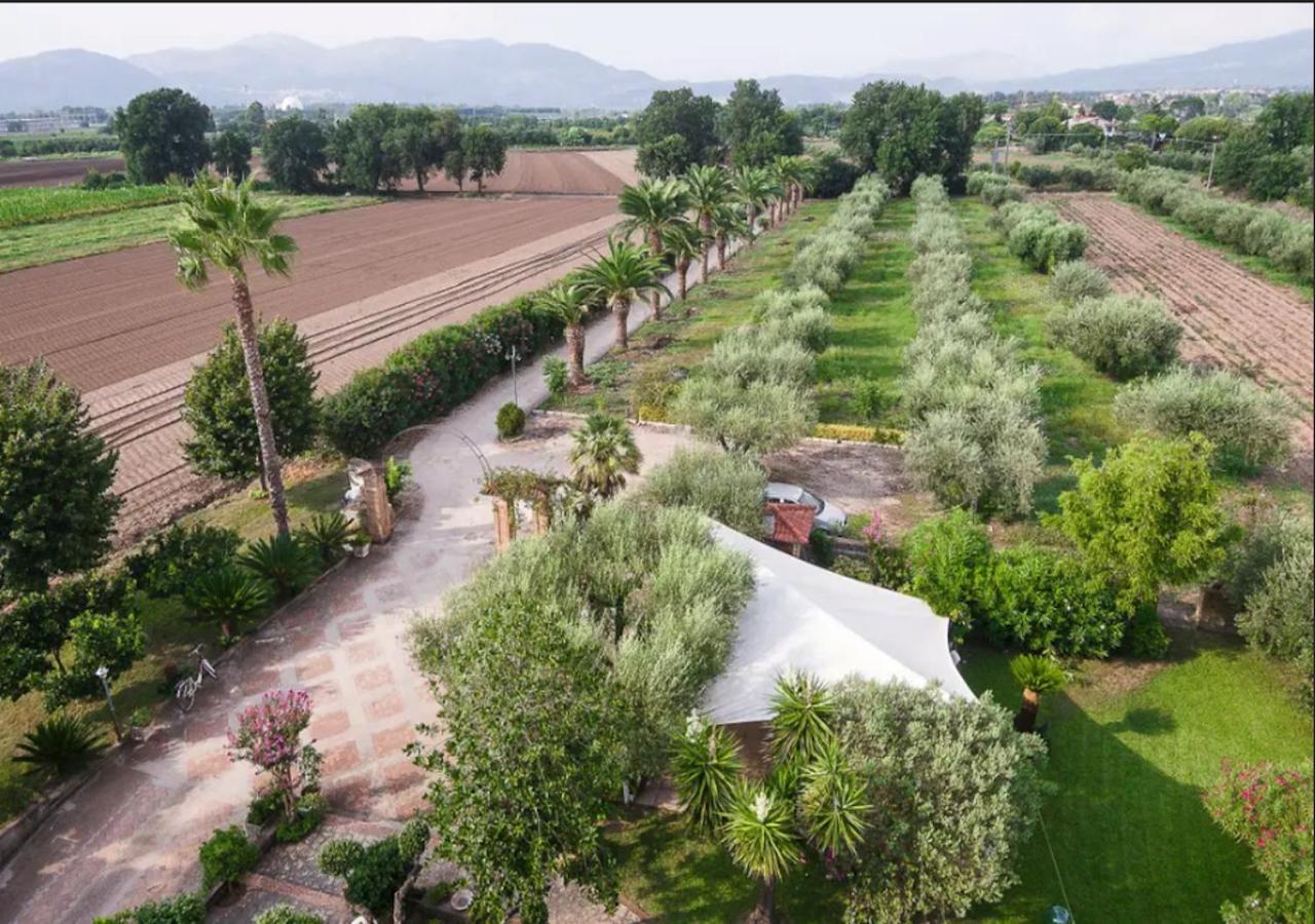 Villa Rosa Lifestyle B&B Sessa Aurunca Eksteriør billede