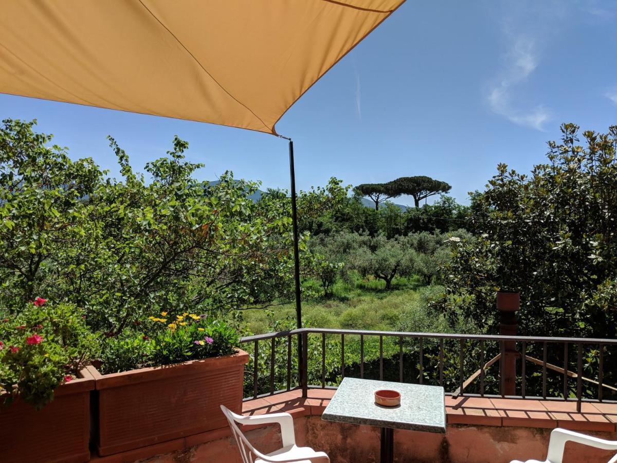 Villa Rosa Lifestyle B&B Sessa Aurunca Eksteriør billede